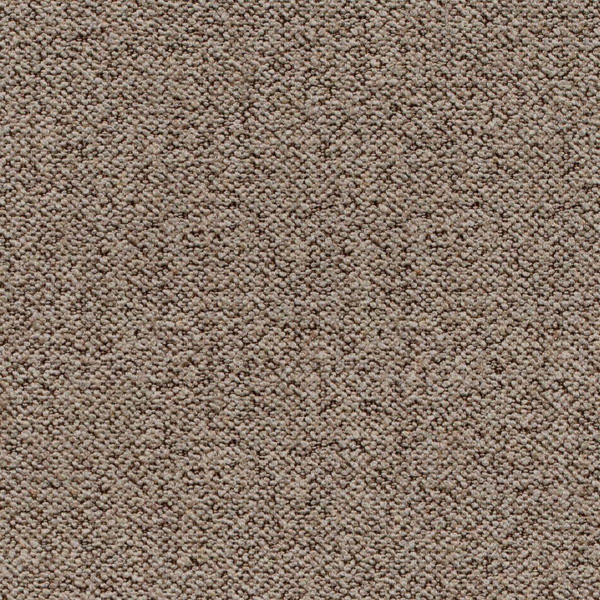 Dining Chair Brooke - Beige