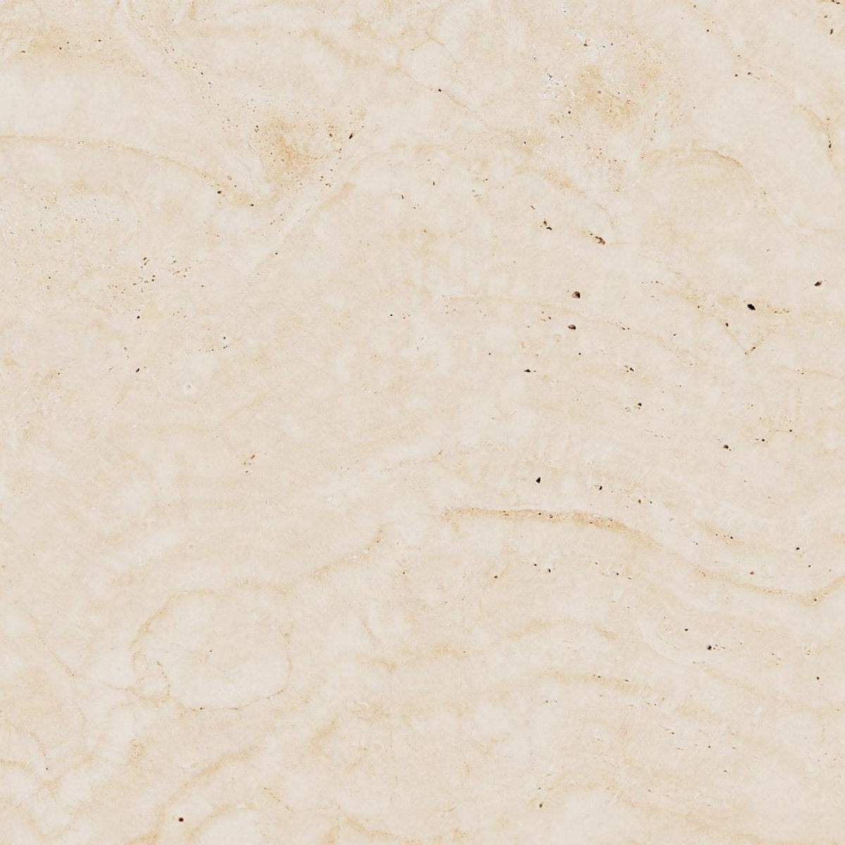 Side Table Prunus - Beige